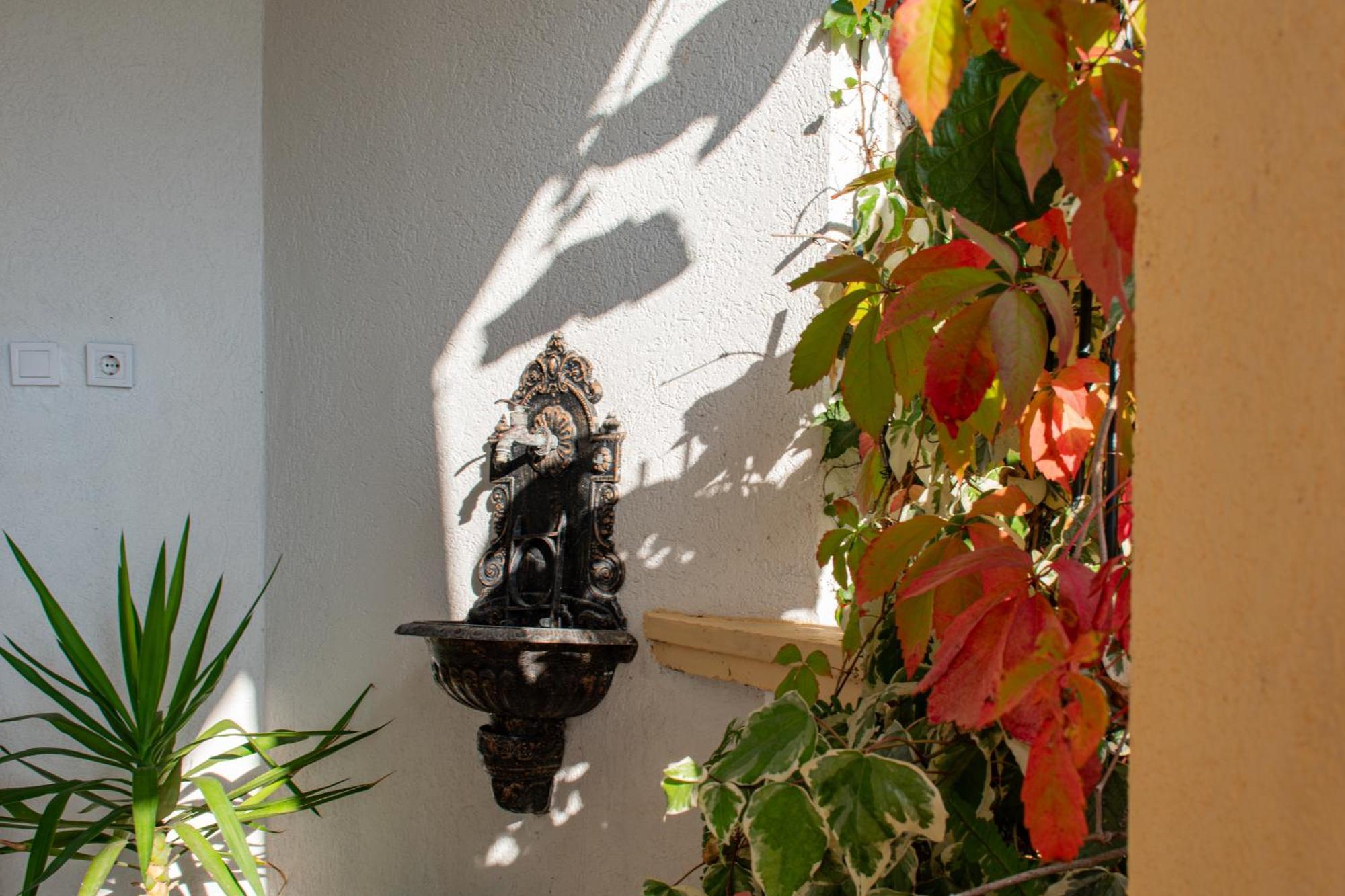 Villa Vojnic Budva Dış mekan fotoğraf